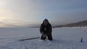 ЖЕСТЬ!! НАЛИМ ГИГАНТ ПОЕДАТЕЛЬ ЩУК ПОЙМАН! Вот это рыбалка!