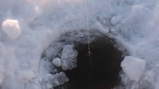 Жерлицы6.01.2026 минус 20 градусов