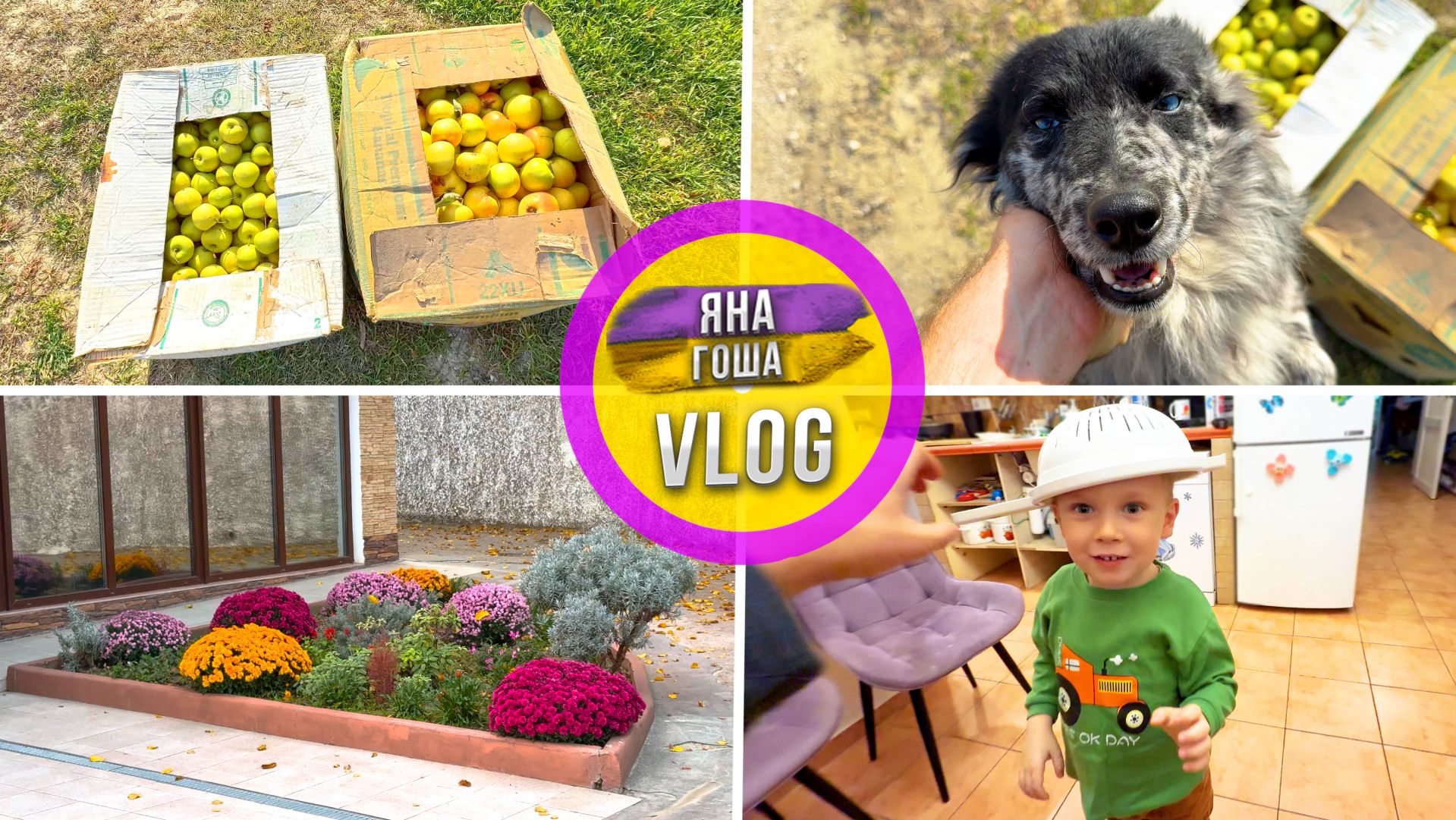 Сосед привез еще 2 коробки яблок! Дуршлаг как открытие. Зима в Крыму. смотреть онлайн