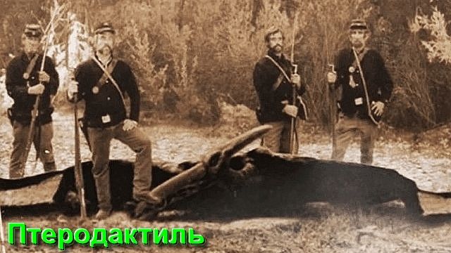 Ответы на Вопросы и Комментарии от 07.01.26 смотреть онлайн