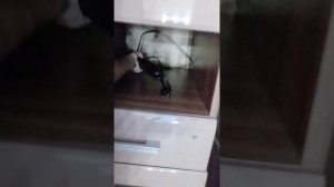 VID_20260107_184128.mp4