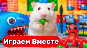 2 ЛАБИРИНТ С ЛОВУШКАМИ ДЛЯ УМНОГО ХОМЯКА 🐹🐹 ВИДЕО ПРО ХОМЯКА ДЛЯ ДЕТЕЙ №6