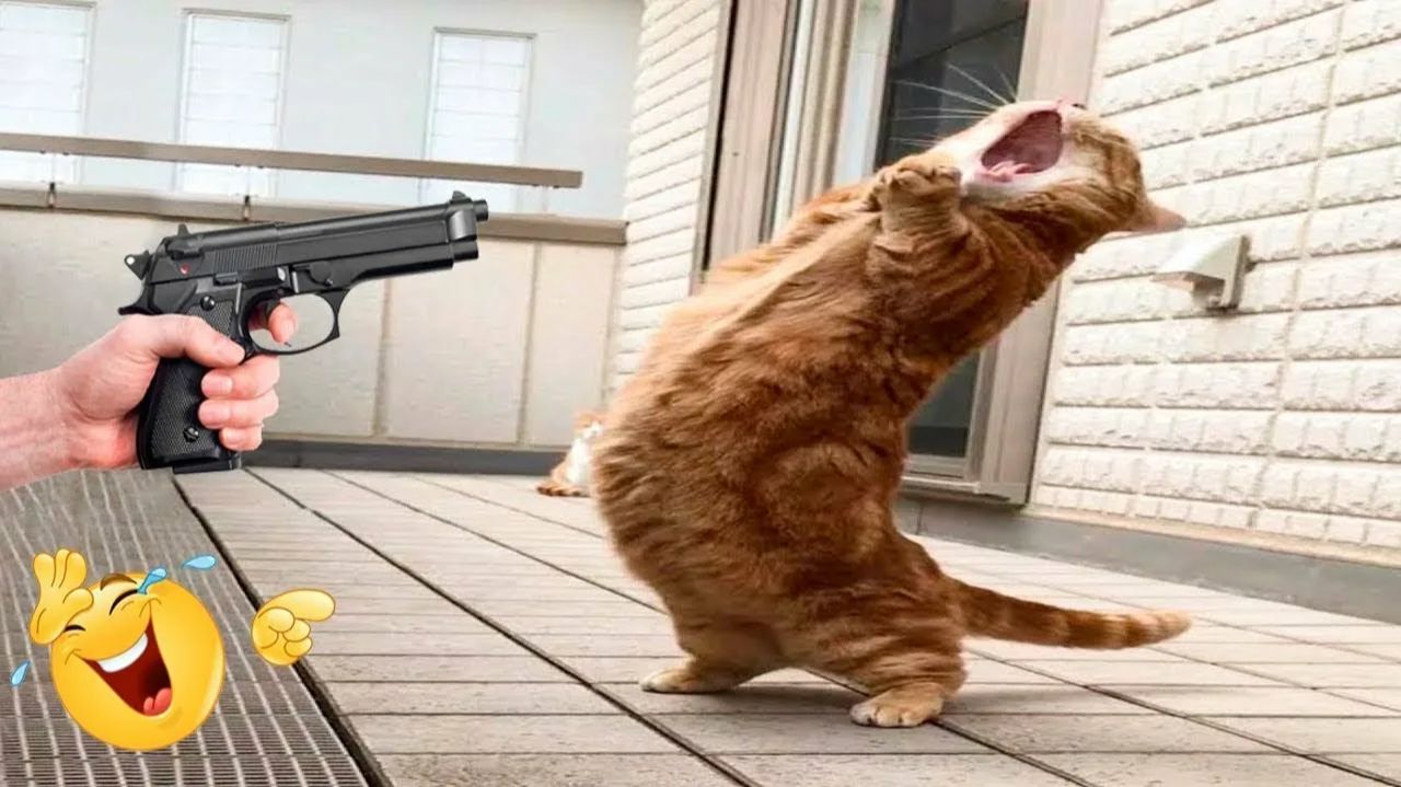 ПРИКОЛЫ С ЖИВОТНЫМИ😺🐶 | СМЕШНЫЕ КОТЫ и СОБАКИ😂 смотреть онлайн