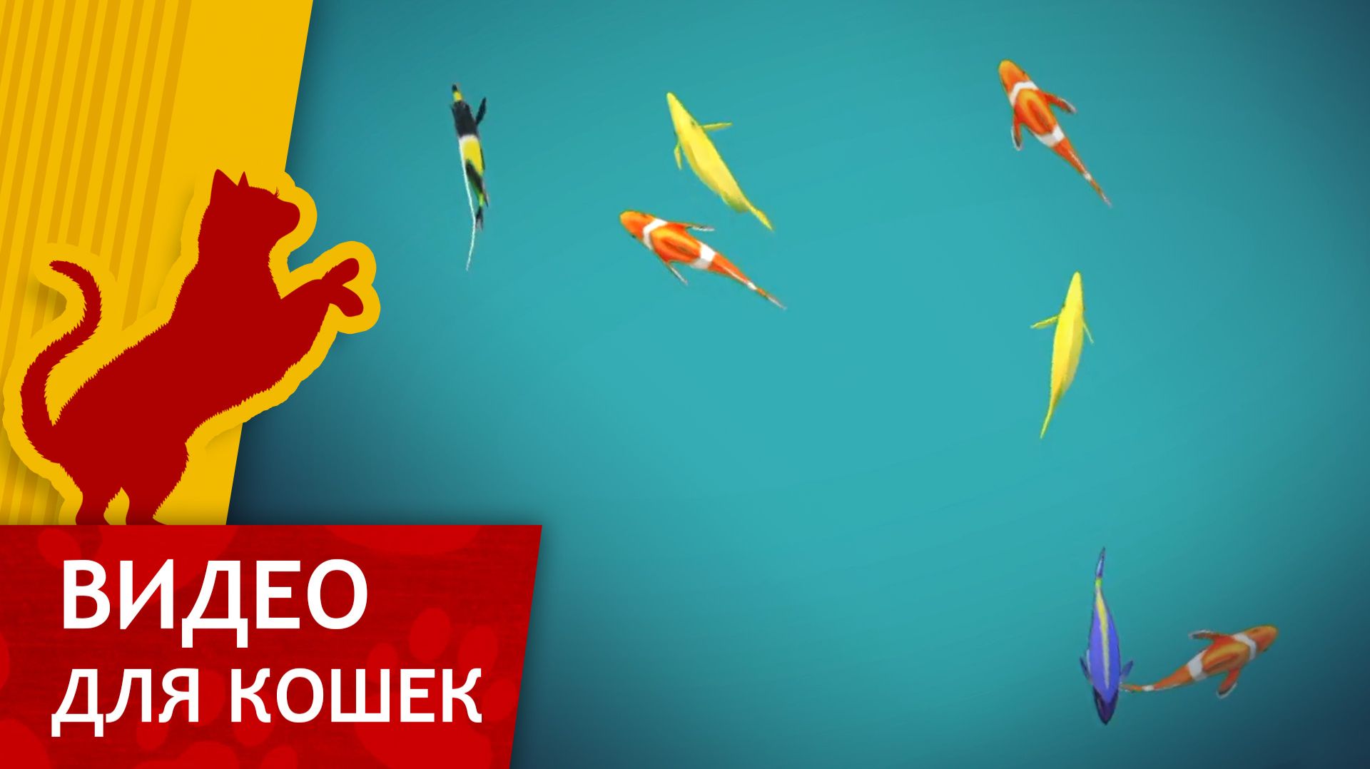 Видео для кошек - Рыбки в пруду вид сверху (Ваш кот будет доволен!) смотреть онлайн