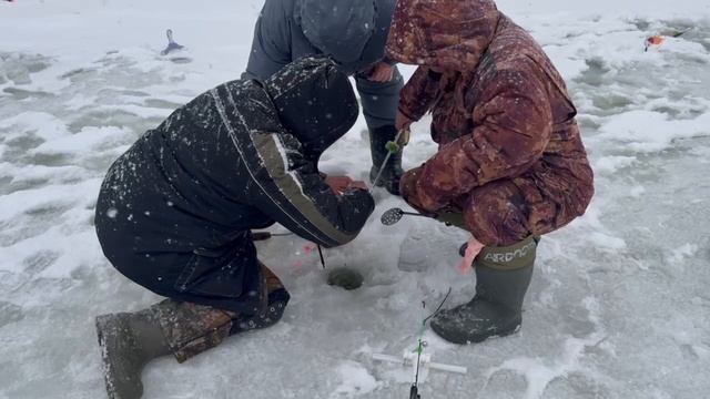 Каждая поклёвка — в руку смотреть онлайн