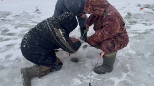 Каждая поклёвка — в руку