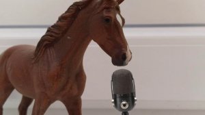 Экстренные новости! АААААА!🙀