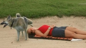 ЭТО ЧТО ТАКОЕ?! 2026 ЛУЧШИЕ ПРИКОЛЫ - 18