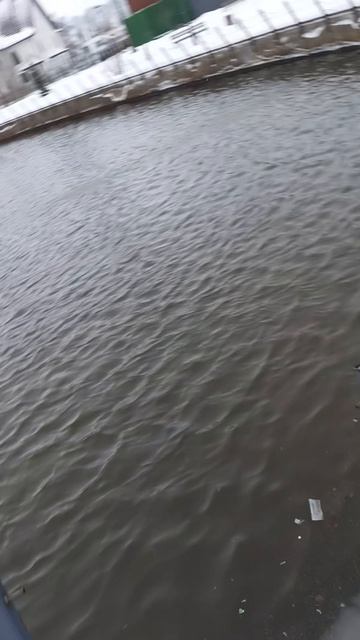 Итальянский сквер сегодня в Тольятти смотреть онлайн