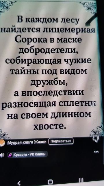 бдим смотреть онлайн