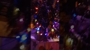 VID_20260106_201225_-_копия[1]