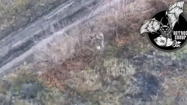 🔴Неудачный поход на водопой🐗🐗🔴 смотреть онлайн