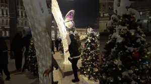 Новогодний тропический Питер - с огоньком 🔥🔥🔥