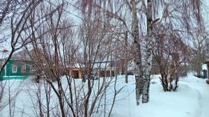 ЗИМУШКА ЗИМА