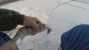 Рыбалка в Сибири, часть 79