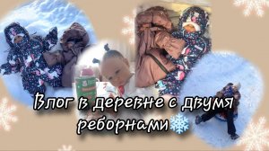 Вдог в деревне с двумя реборнами❄️