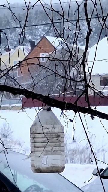 Дерево-помойка смотреть онлайн