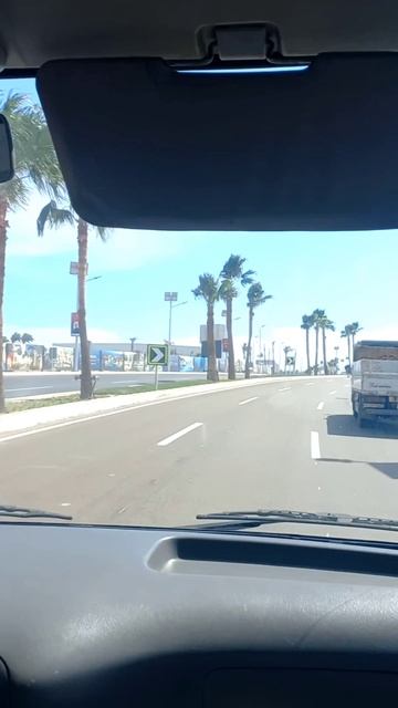 Мчим в Шарм 2026г январь смотреть онлайн