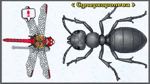 КЛАНОВЫЕ ВОЙНЫ И НОВЫЙ РЕСУРС ШЁЛК! БОЛЬШОЕ ОБНОВЛЕНИЕ — Pocket Ants: Симулятор Колонии