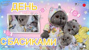 ДЕНЬ С КОТАМИ БАСИКАМИ