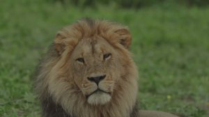 РЕЛАКС. МУЗЫКА ДЛЯ ДУШИ! КРАСИВАЯ МУЗЫКА! RELAX THE BEST