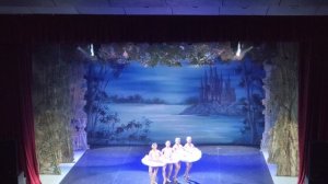 VID2026 Сегодня я был на Балете Лебединое озеро