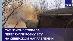 САУ "Пион" сорвала перегруппировку ВСУ на северском направлении