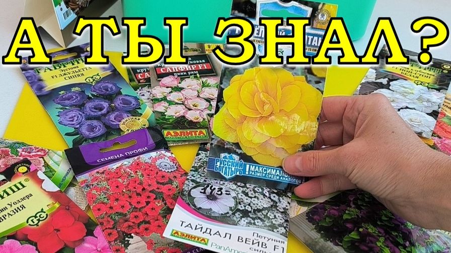 ЦВЕТЫ 2026: ПЛАН ПОСЕВА на год  🌸🌹⚘🌻 💮