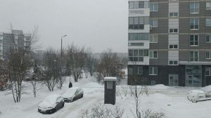 Опять снег на Рублёвке)