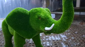 Ессентуки ул Анджиевского