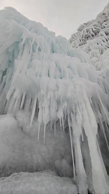 Сокуи на Байкале