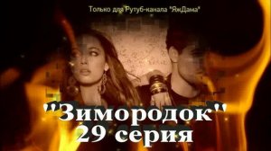 Впечатления от 29 серии турецкого сериала "Зимородок"