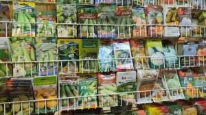 07-01-2026..С Рождеством!маленький магазин семян.