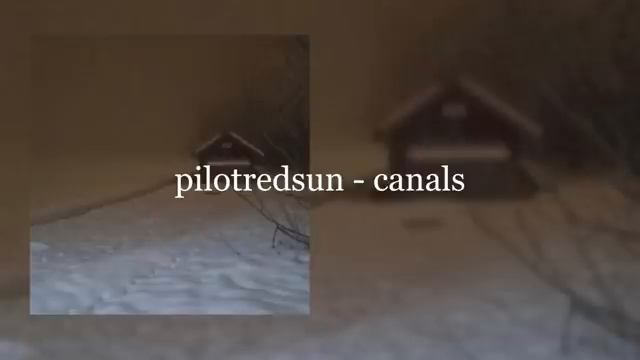 𝐝𝐞𝐦𝐞𝐧𝐭𝐢𝐚 𝐧𝐨 𝐧𝐨 𝐰𝐞𝐫𝐞 𝐡𝐚𝐯𝐢𝐧𝐠 𝐚 𝐩𝐢𝐜𝐧𝐢𝐜 weirddreamtraumacore playlist смотреть онлайн