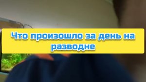 Что произошло за день на разводне