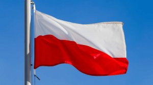 Польша не увидела смысла в НАТО при нападении США на Гренландию