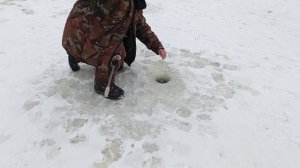 VID_20260107_151333_550