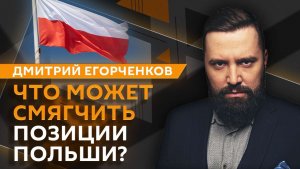 Дмитрий Егорченков. Встреча "коалиции желающих", раскол в НАТО и судьба Гренландии