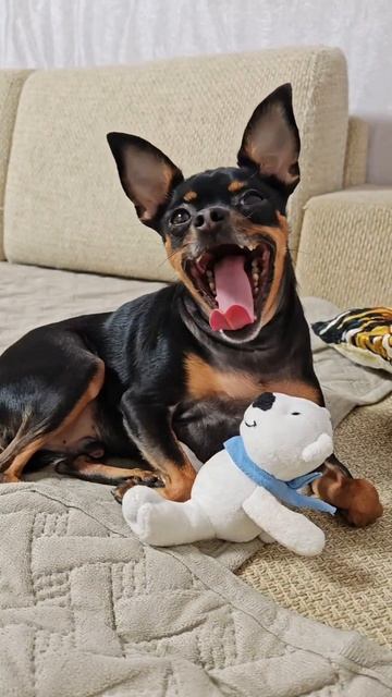 Кто я. смотреть онлайн