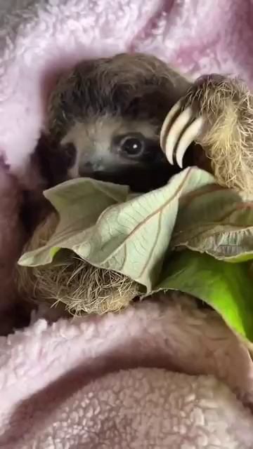 Утро смотреть онлайн