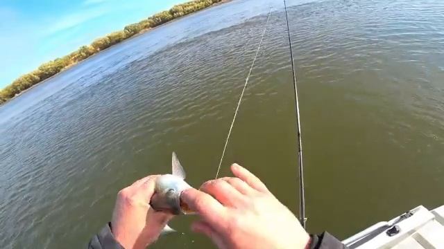 НА РЫБАЛКУ В САМОЕ ТИХОЕ МЕСТО, ТАКИЕ ЕЩЁ ОСТАЛИСЬ В АСТРАХАНИ смотреть онлайн