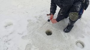 Светлые Горы Форель5 07.01.2026г.