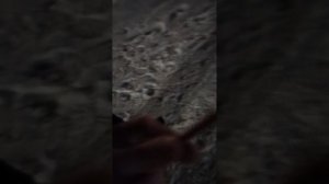 VID_20260107_175452.mp4