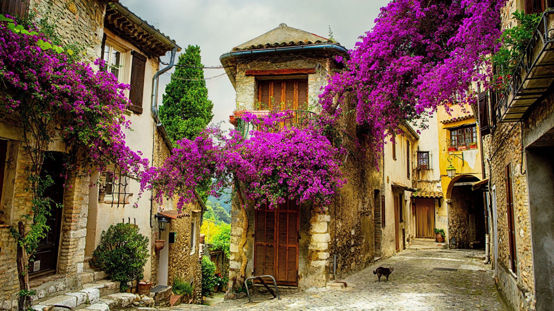 ДЕРЕВНИ УТОПАЮЩИЕ В ЦВЕТАХ Французская Ривьера. Две жемчужины на вершине холма недалеко от Сен-Тропе смотреть онлайн