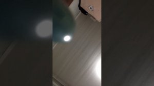 превет это за 1 ч до стрима