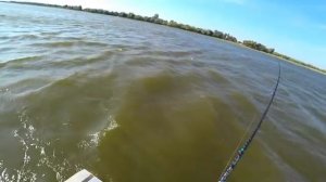 ОСЕННИЙ ЖОР. ЧАЙКИ НЕ ВРУТ. РЫБАЛКА на хищную рыбу в сентябре.