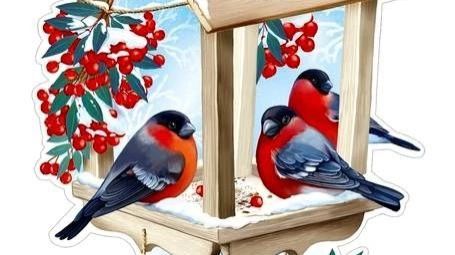 Сороки в столовой ругаются ПОДПИШИСЬ смотреть онлайн