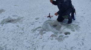 Светлые Горы Форель3 07.01.2026г.