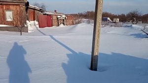 съездили в деревню, откопали дом, подзимний посев зимой