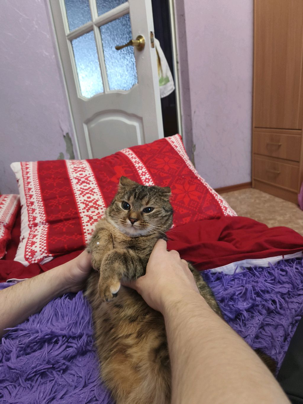 бабушкин котёнок. смотреть онлайн